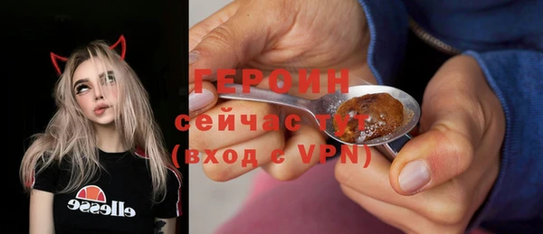 прущие грибы Беломорск