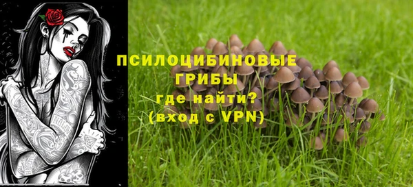 прущие грибы Беломорск