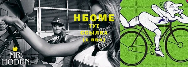 прущие грибы Беломорск