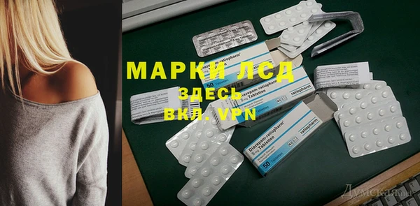 прущие грибы Беломорск