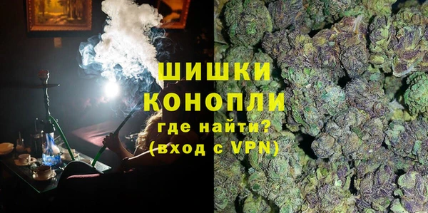 прущие грибы Беломорск