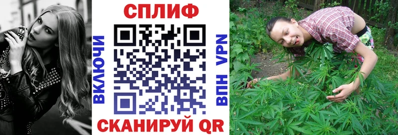 Конопля план  Козловка 